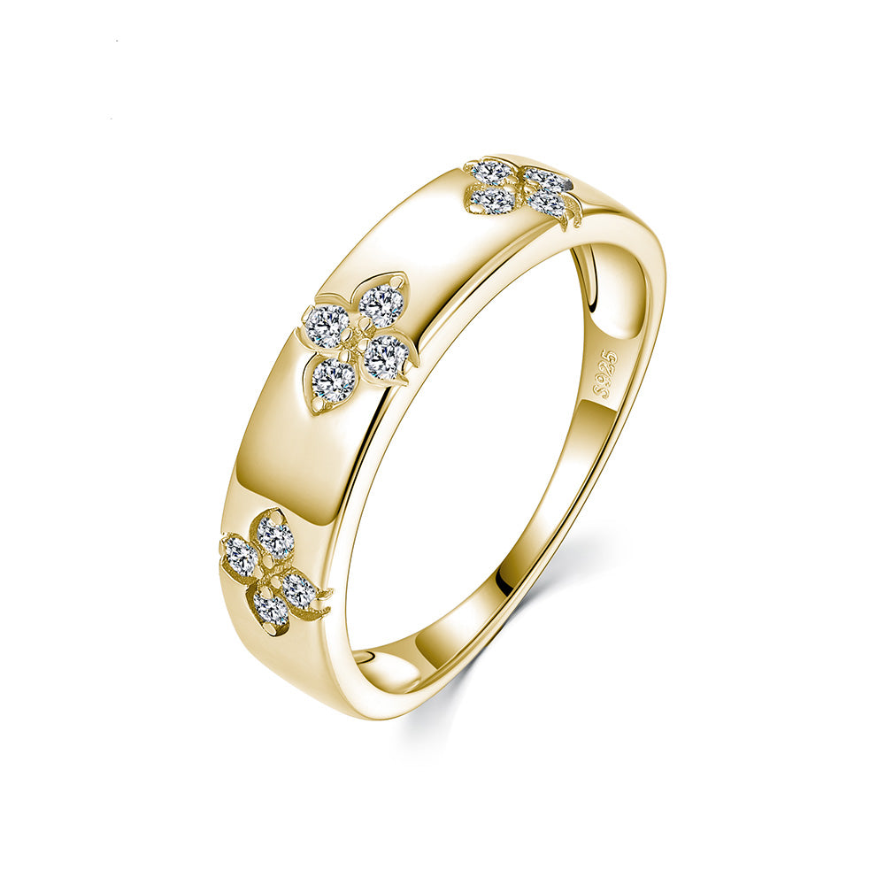 v1