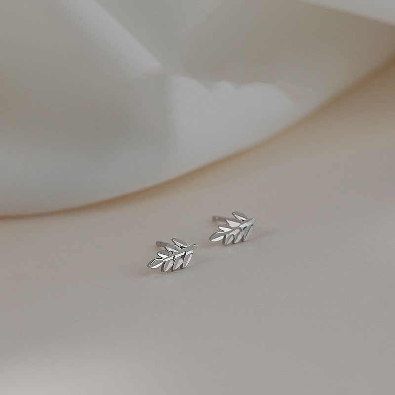 Petite Leaf Stud Earrings in S925 Silver — product photograph 1