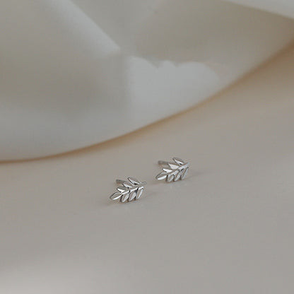 Petite Leaf Stud Earrings in S925 Silver — product photograph 1