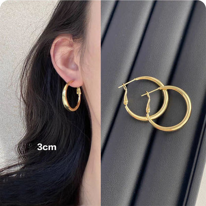 925 Silver Needle Internet Celebrity Same Style Gold Earrings Women's Light Luxury...